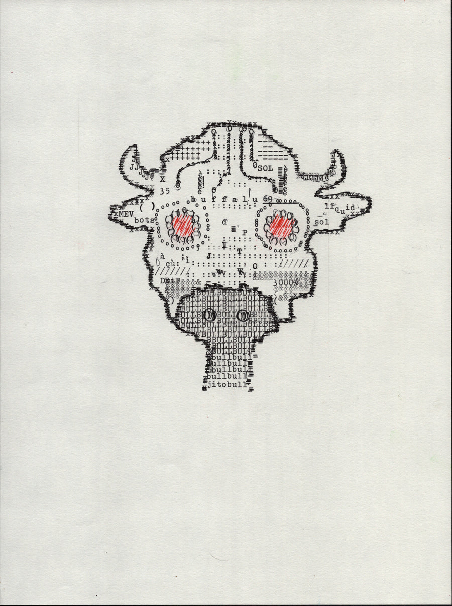 Jito Bull original typewriter artwork by Degen Poet
