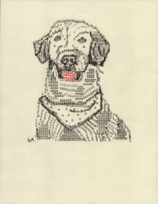 GM Dog original typewriter artwork