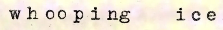 Degen Poet typewriter artwork crop collected by FlashKnob, Words Quotes and Wordplay, 0007